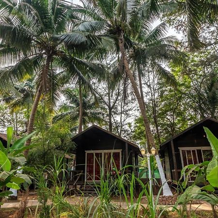 The Exotica Agonda Hotel Ngoại thất bức ảnh