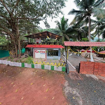 The Exotica Agonda Hotel Ngoại thất bức ảnh