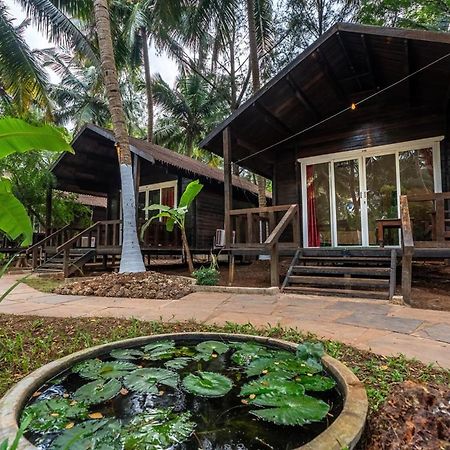 The Exotica Agonda Hotel Ngoại thất bức ảnh