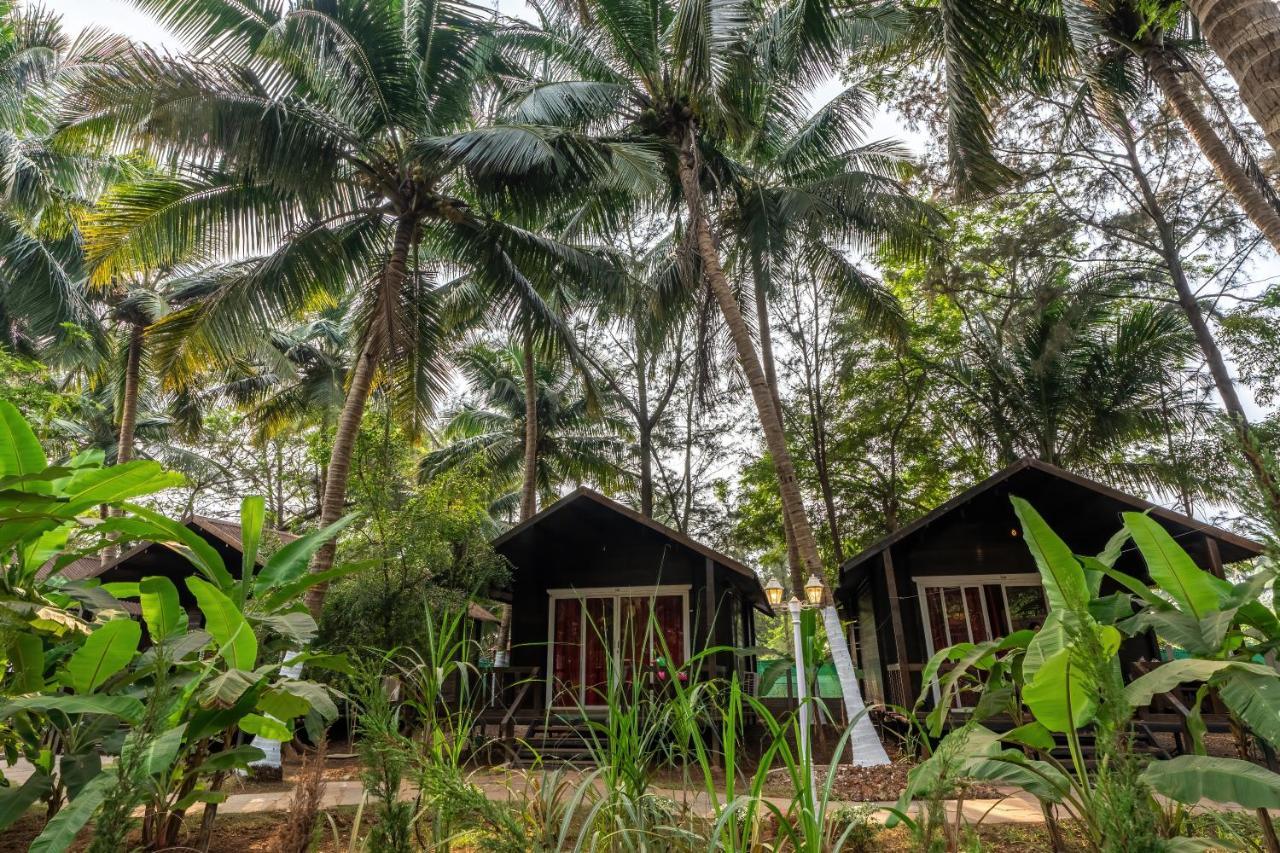 The Exotica Agonda Hotel Ngoại thất bức ảnh