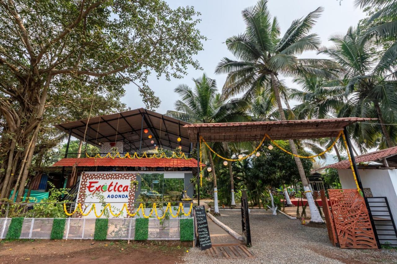 The Exotica Agonda Hotel Ngoại thất bức ảnh