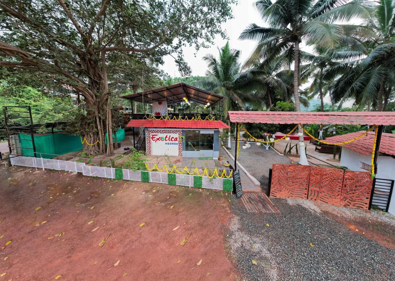 The Exotica Agonda Hotel Ngoại thất bức ảnh