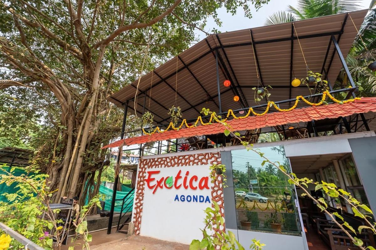 The Exotica Agonda Hotel Ngoại thất bức ảnh